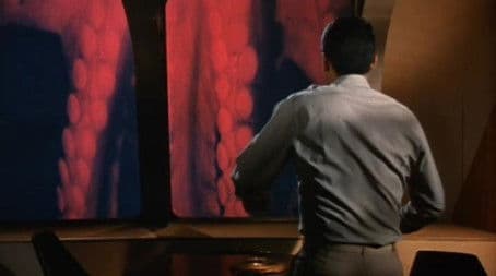 The Day the World Ended