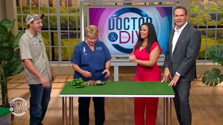 Las Vegas Mass Shooting, Hot Bod vs. Dad Bod & Space Farms Zoo!