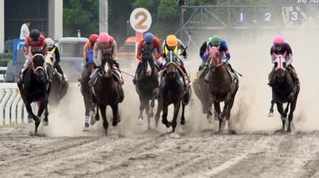 Dreams Bloom at Kochi Racecourse