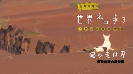 United Arab Emirates