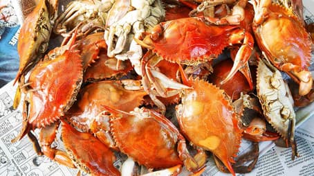 ‎End-of-Summer Celebration