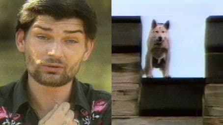 Almost Heaven, West Virginia