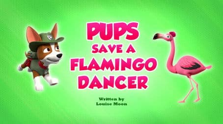 Pups Save a Flamingo Dancer