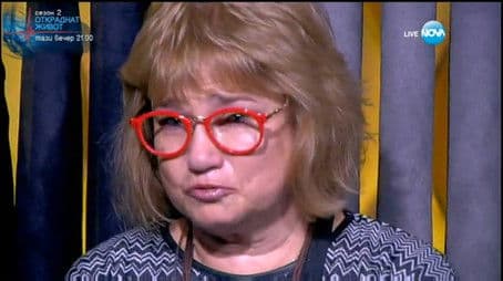 VIP Brother 2016 - Daily