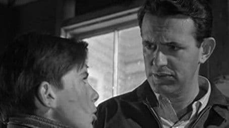 Like This It Means Father, Like This Bitter, Like This Tiger