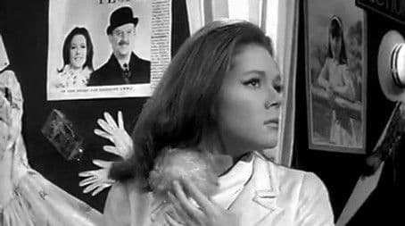 The House That Jack Built