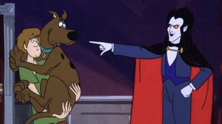 A Fit Night Out for Bats