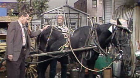 My Kingdom For a Horse (a.k.a.) First Night Out