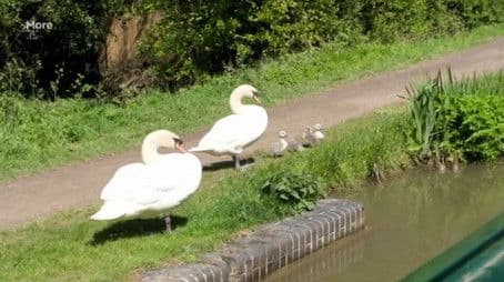 Grand Union and Stratford Canal
