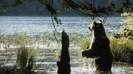 Land of the Falling Lakes