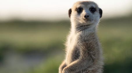 Winter of Discontent