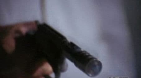 3,000 Crooked Miles To Honolulu