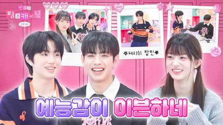 an even-cooked sense of entertainment