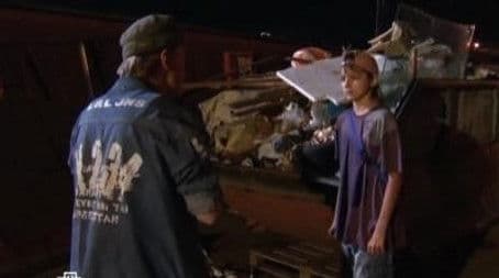 Звериная стая