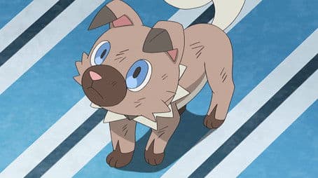 Rocking Clawmark Hill!