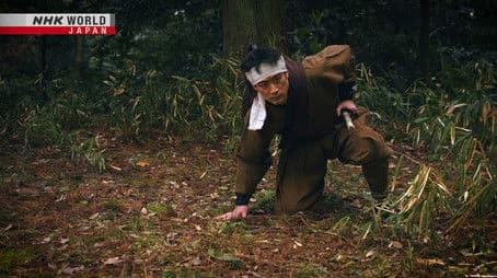 The Ninja and Disaster Preparedness