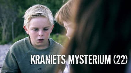 The Mystery of the Skull