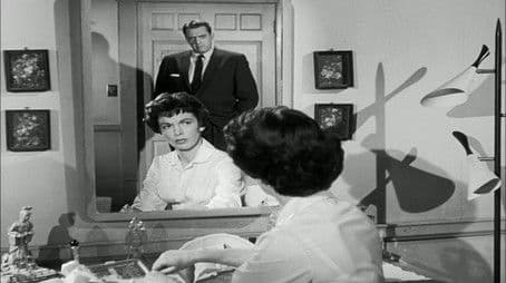 The Case of the Caretaker's Cat