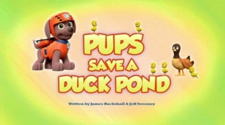 Pups Save a Duck Pond