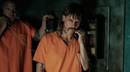 Survival of the Fittest