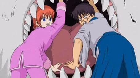 Walk Your Dog at an Appropriate Speed