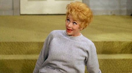 Lucy, the Fight Manager