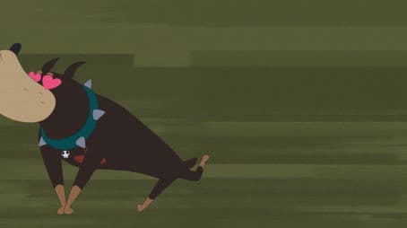 The Doberman's Favorite