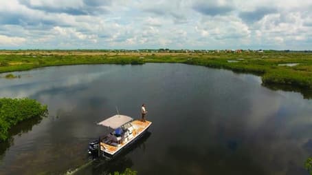 Florida Black Panther