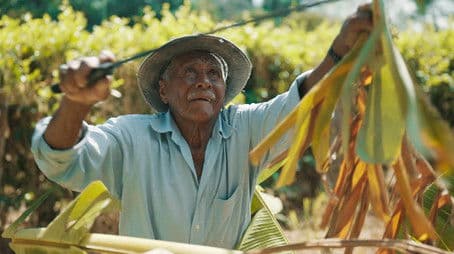 The End of Blue Zones?