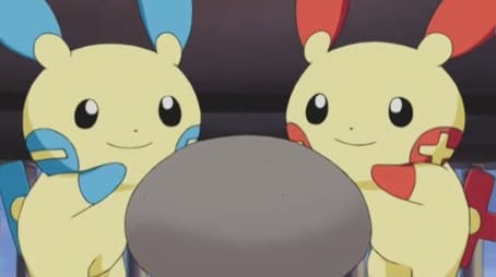 A Different Kind of Misty!