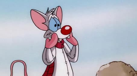 The Megalomaniacal Adventures of Brainie The Poo