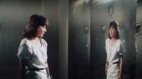 The Soldier Who Disappeared into a Mirror