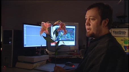 Putting Life Into Death: Falling Flower