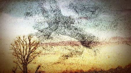 B.J. and the Seven Lady Truckers (1)