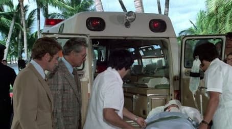 The Year Of The Horse (2)