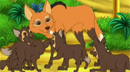 Diego's Wolf Pup Rescue