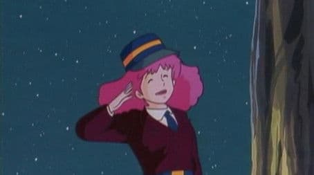 A steam engine running through the flower field