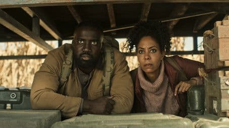 Down the Rabbit Hole