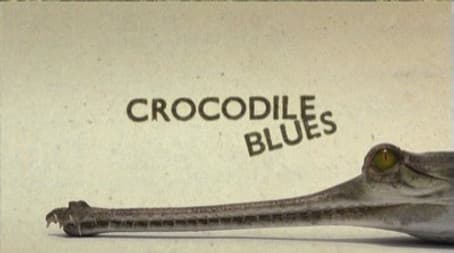Crocodile Blues