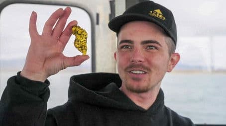 Big Bering Sea Gold Nugget