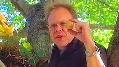 Sometimes You Feel Like A Nut