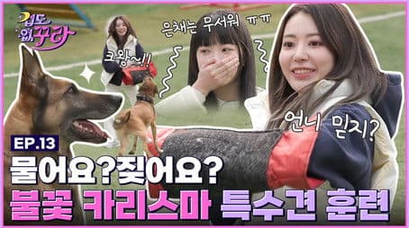The biggest cowards ever?! Sakura and Eunchae try training special dogs🐶🔥
