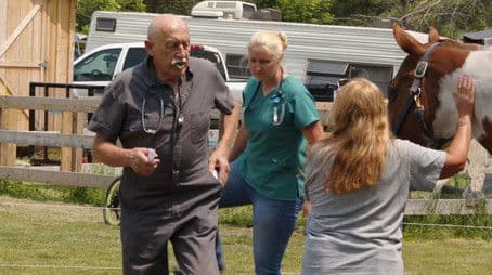 I've Never Met Herbivore