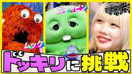 Together with Gachapin, We Will Play a Prank on Mukku