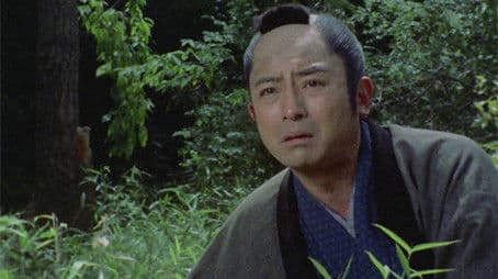 The Night of The Fang