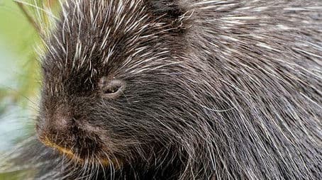 Summer 2023: Episode 11