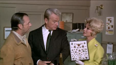 The Special Delivery Letter