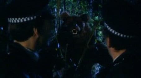 The Beast Of Hackney Marshes