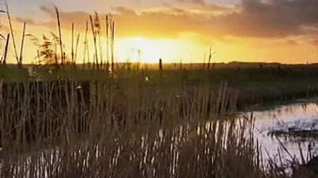 Life on the Edge 1000 Years BC - Washingborough, Lincoln