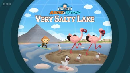 Very Salty Lake